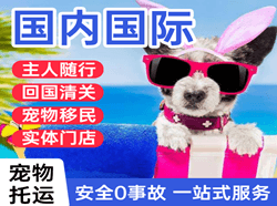 大兴安岭机场空运国际宠物托运 【国